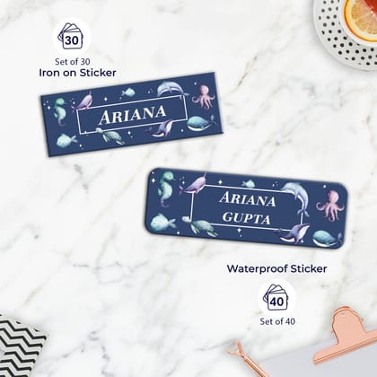 Midnight Ocean Labelling Value Pack-Spruce Navy