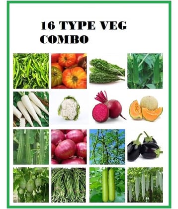 COMBO OF 16 DIFFERENT TYPE VEGETABLE PLANT SEEDS PACK more than 300 seeds pack WITH USER manual FOR HOME GARDENUNG USE