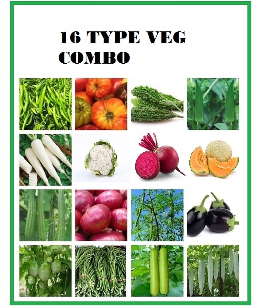 COMBO OF 16 DIFFERENT TYPE VEGETABLE PLANT SEEDS PACK more than 300 seeds pack WITH USER manual FOR HOME GARDENUNG USE