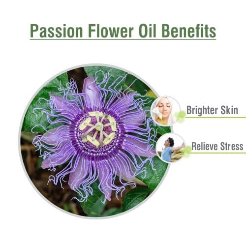 ... ...