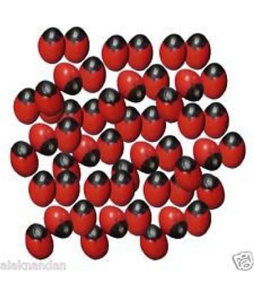 VINARGHYA PHARMACEUTICALS GUNJA LAL / RAKTA GUNJA / लाल गूंजा Raw Herbs 21 no.s Pack Of 1