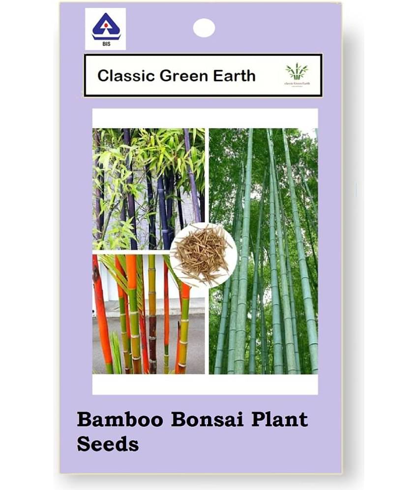CLASSIC GREEN EARTH - Bamboo Grass ( 50 Seeds )