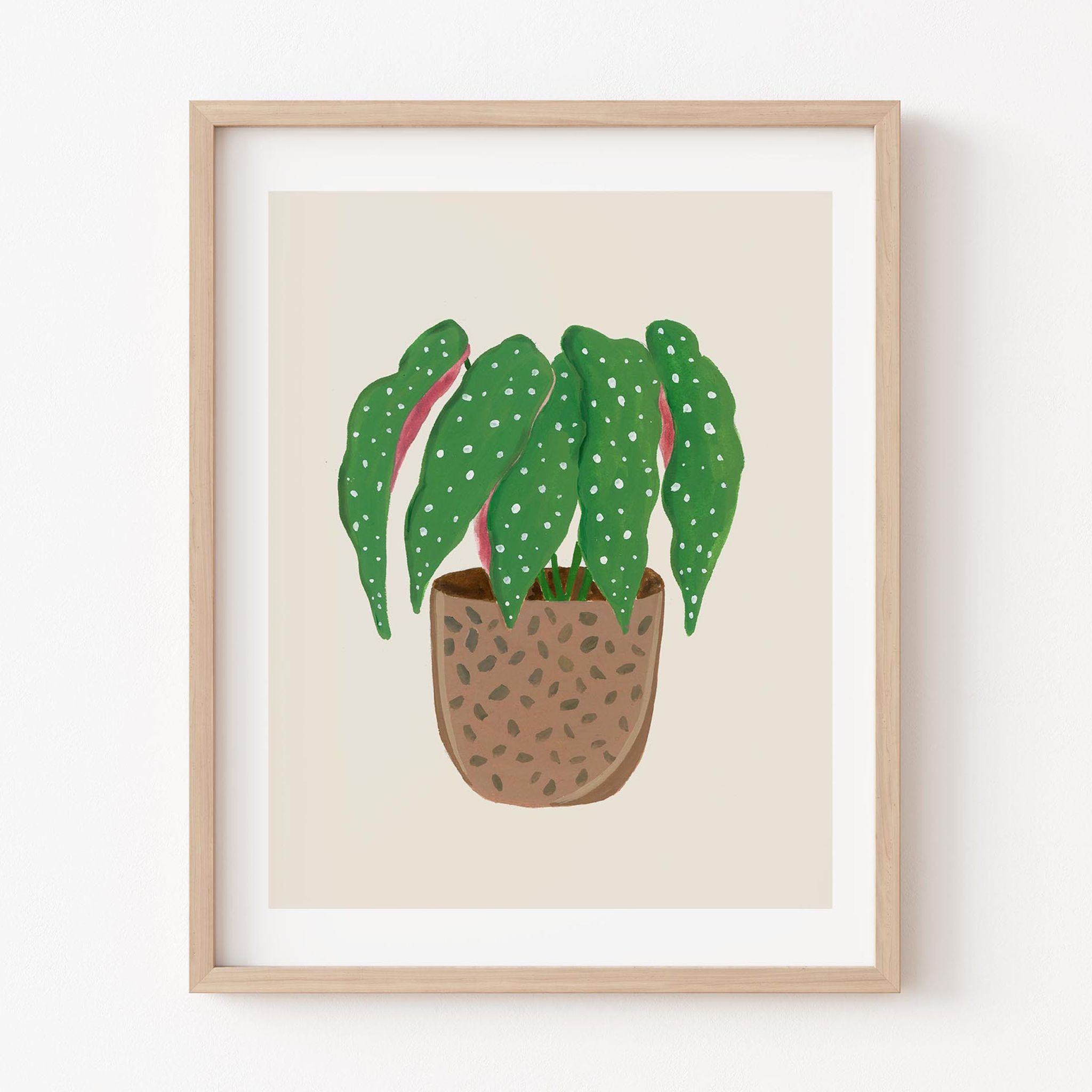 Mini Potted Plant Wall Art Frame-8x10 inches / White Frame