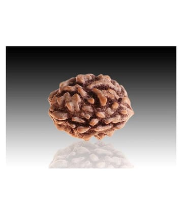 RUDRA DIVINE - Brown Pendant ( Pack of 1 ) - Brown