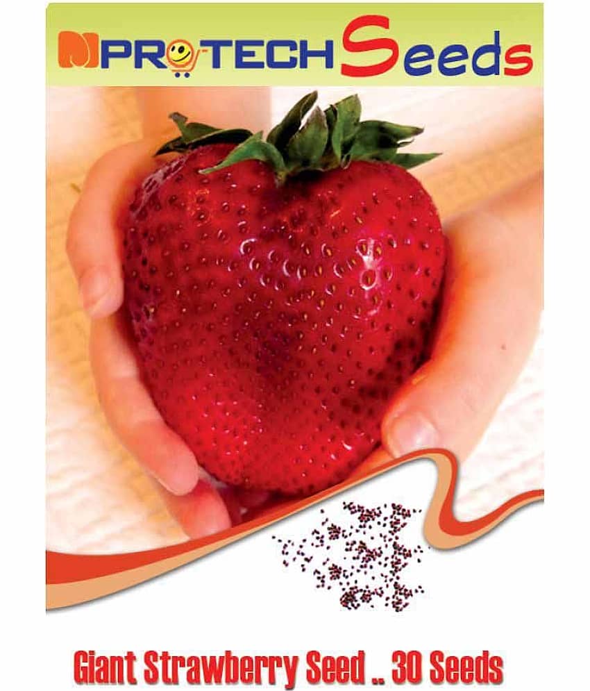MPRO-TECH Giant Strawberry Fruit Seeds