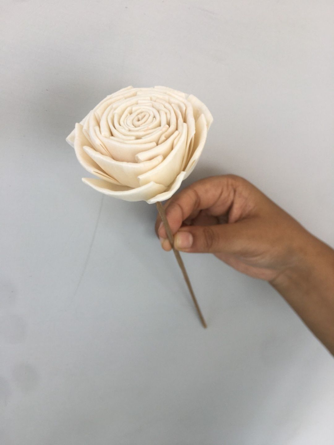 Bourbon Rose Sola Flower (5pcs)