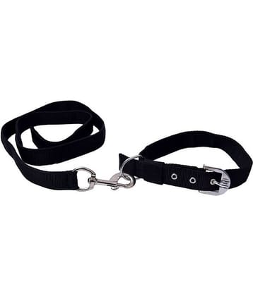 Tame Love - Red Dog Combo (Medium)