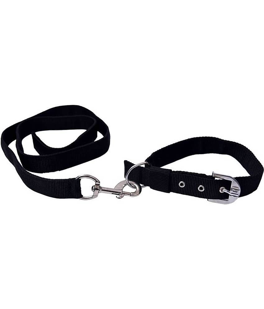 Tame Love - Red Dog Combo (Medium)
