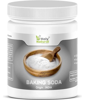 Holy Natural Baking Soda 400 gm