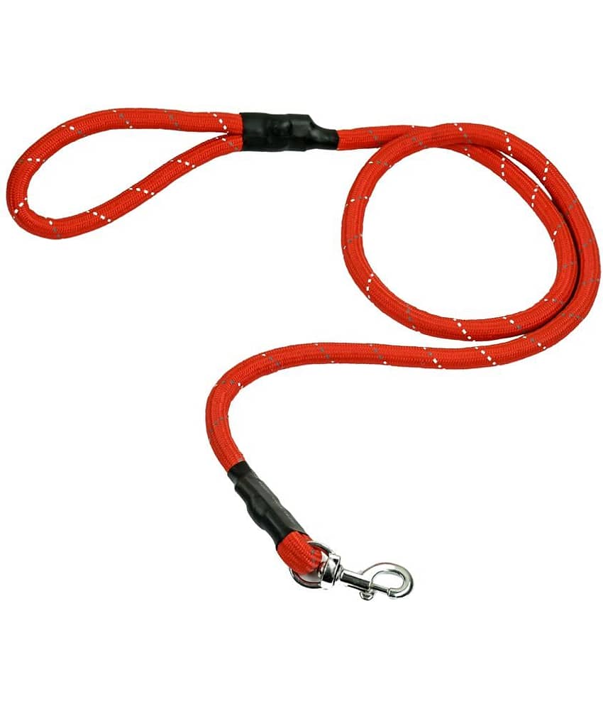 BLINGPETS Orange Leash ( Large )