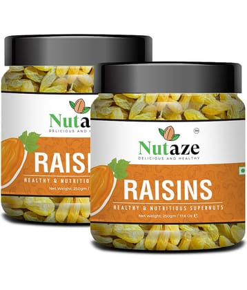 Nutaze Premium Raisins 500g (250g x 2)  | Rare Indian Raisins | Natural Sun Dried | 100% Authentic | 100% Natural