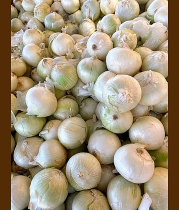 LiveNature Organic White Onion Vegetable ( 1000 Seeds )