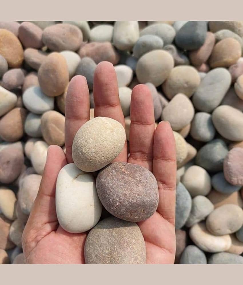 Decorative Garden Stones 1 kg