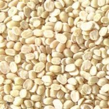 UDID DAL BOLD LOOSE