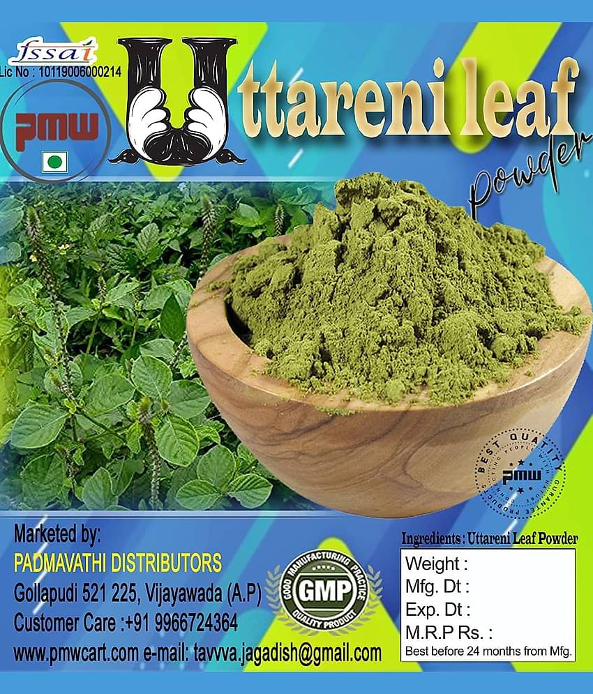 Apang - Aghata - Uttareni - Chirchra - Latjira - Onga - Leaf Powder - 500 Grams