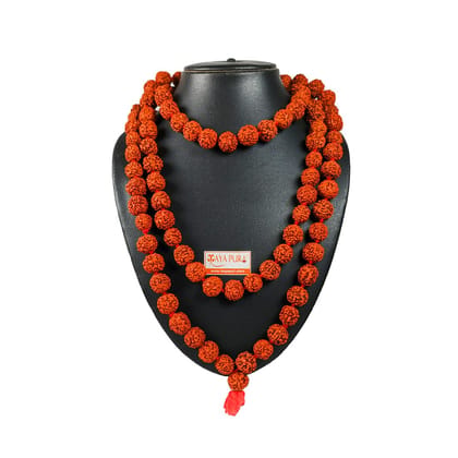 MAYAPURI Rudraksh Japa Mala 108+1 Beads With Rudraksh Bracelet Combo Pack for Daily Mantra Jaap