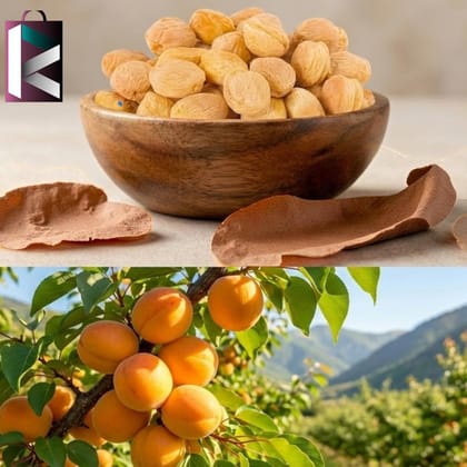 JARDALU APRICOTS LOOSE (PER KG)