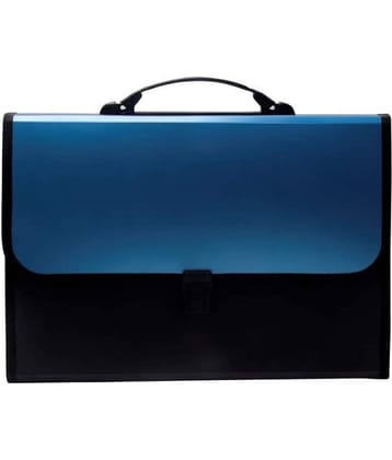 FSN - Multicolor Expandable File ( Pack of 1 )