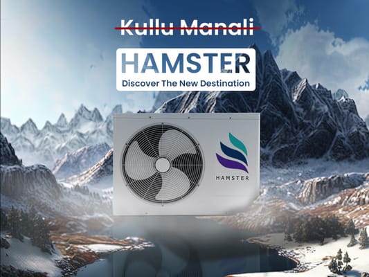 Hamster