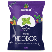 NEOBOR
