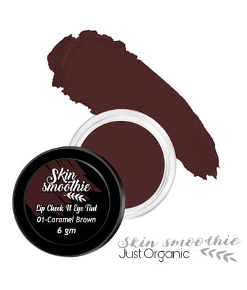 SKIN SMOOTHIE Lip, Cheek & Eye Tint-With Goodness of Vitamin E- Caramel Brown (6 gm)