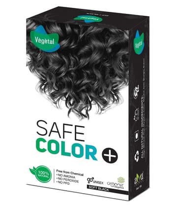 Vegetal Temporary Hair Color Black 100 g