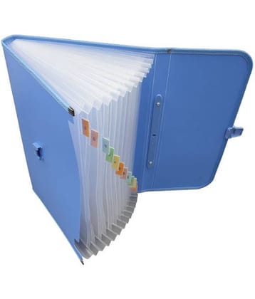 Solo Multipurpose Expanding file-Lock & Handle(A4 Size Compatible)