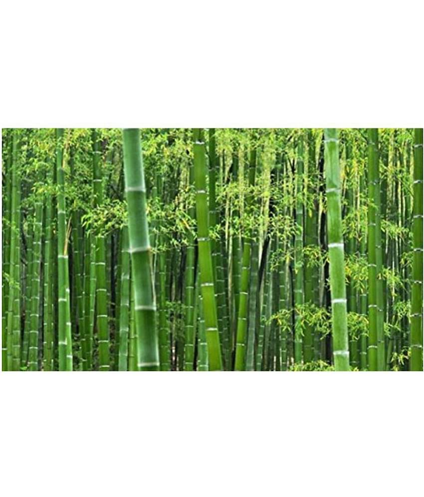 Bamboo Tree Se.eds