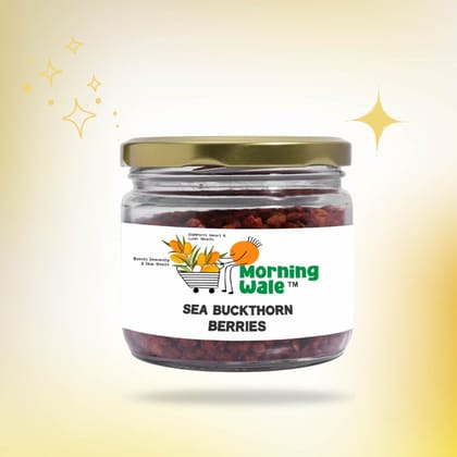 Morning Wale Dried Sea Buckthorn Berries (100g) | Omega 3, 6, 7 & 9 Rich | Immunity & Skin Health