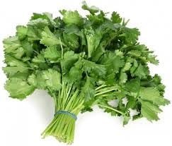 Coriander - 1 judi