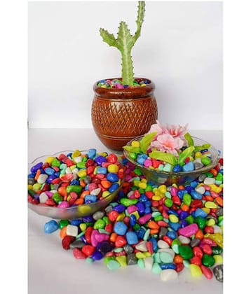 Somil Multicolor Pabbles/Stone For Garden, Plants, Aquarium & Home Decor Wt. 450g