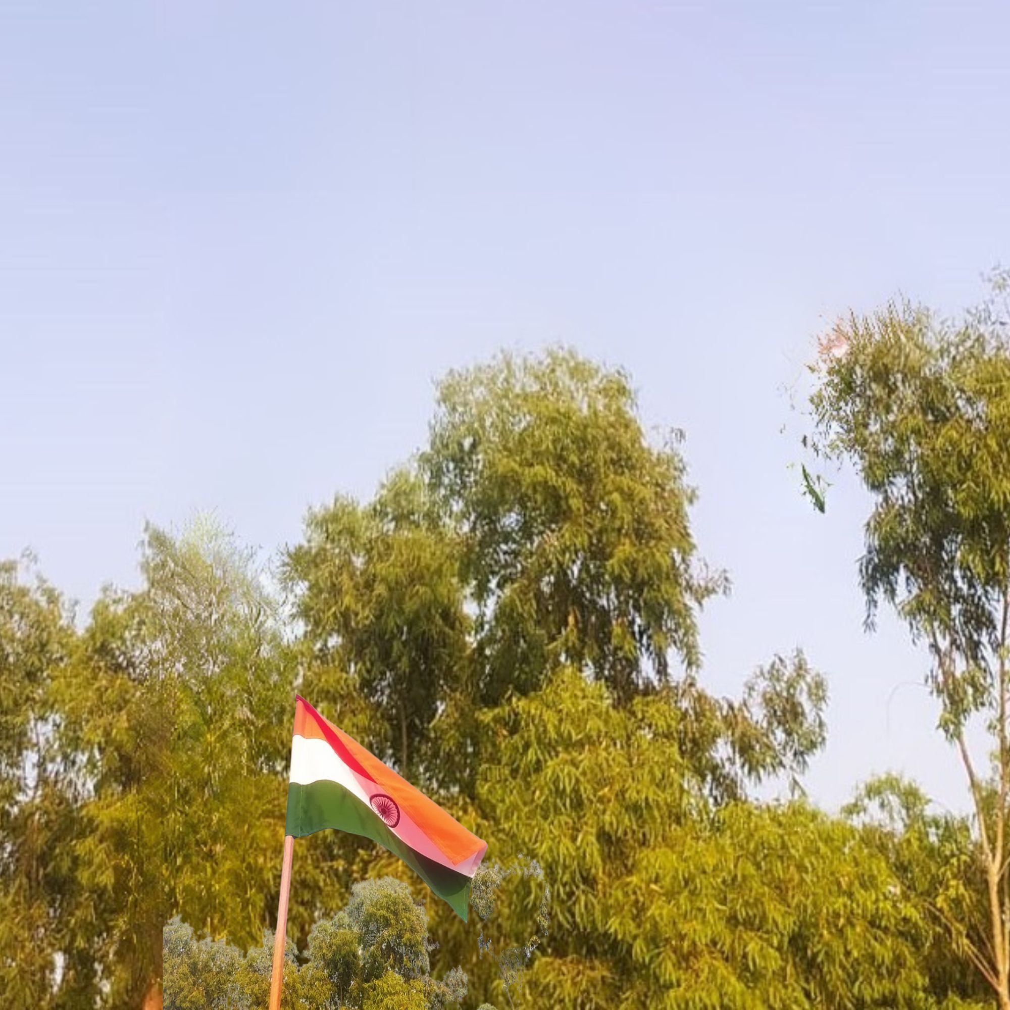 IVillage Indian Flag Set of 2 Small