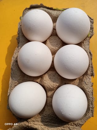 White egg