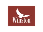 Winston Electronics