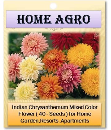 homeagro - Indian Chrysanthemum Mixed Flower ( 50 Seeds )
