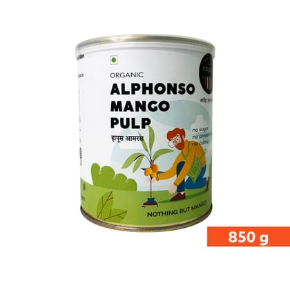 Topali Premium Alphonso Mango Pulp (850g) | Authentic Ratnagiri Hapoos Puree | Ideal for Aamras & Desserts