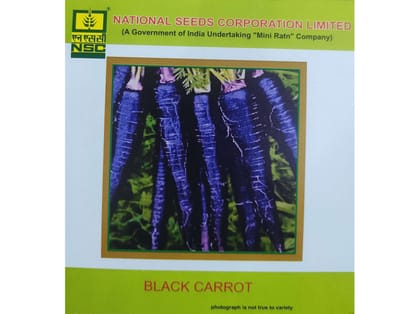 NSC Black Carrot, Pusa Asita NSC Black Carrot, Pusa Asita