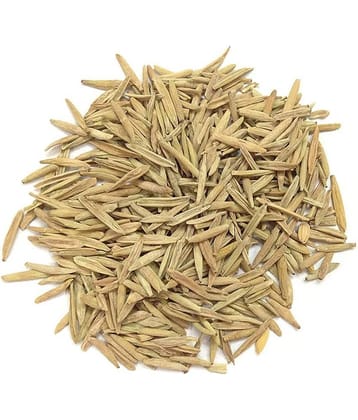 MYGODGIFT Indrajav - Indrajau - Indrajav Seeds(Kadwa)-Holarrhena 200 gm