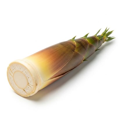 Tender Bamboo Shoot - 1 Piece by Prosopyaaree