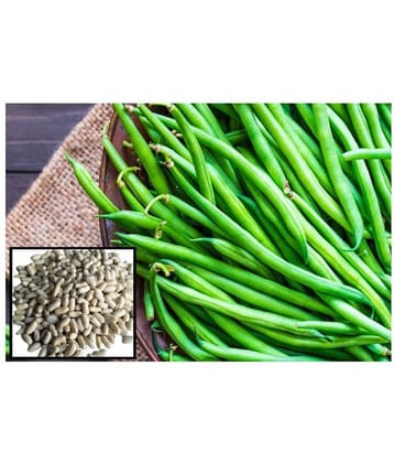 French Beans vegetables hybrid seeds | pack of 50 Seeds