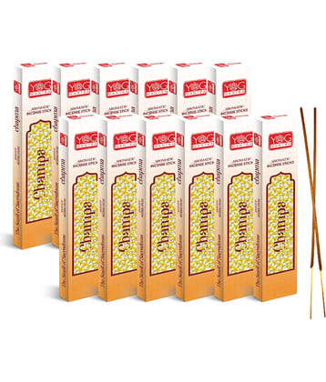 archita poojabatti Incense Dhoop Sticks Exotic 10 gm ( Pack of 12 )