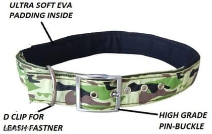 Neck Coller 0.5 inches Belt for Pet (Multicolor)