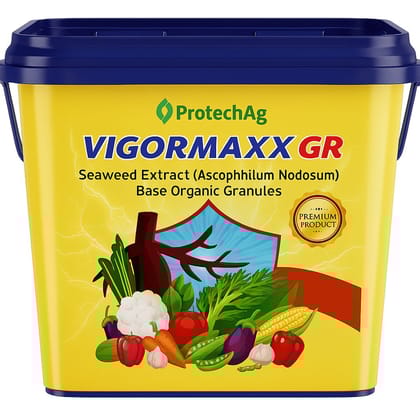 VigorMaxx GR