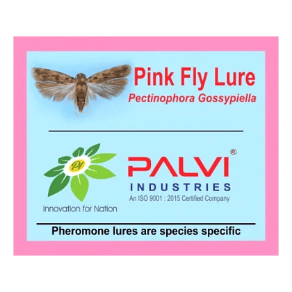 Pectinophora Gossypiella  by Palvi industries
