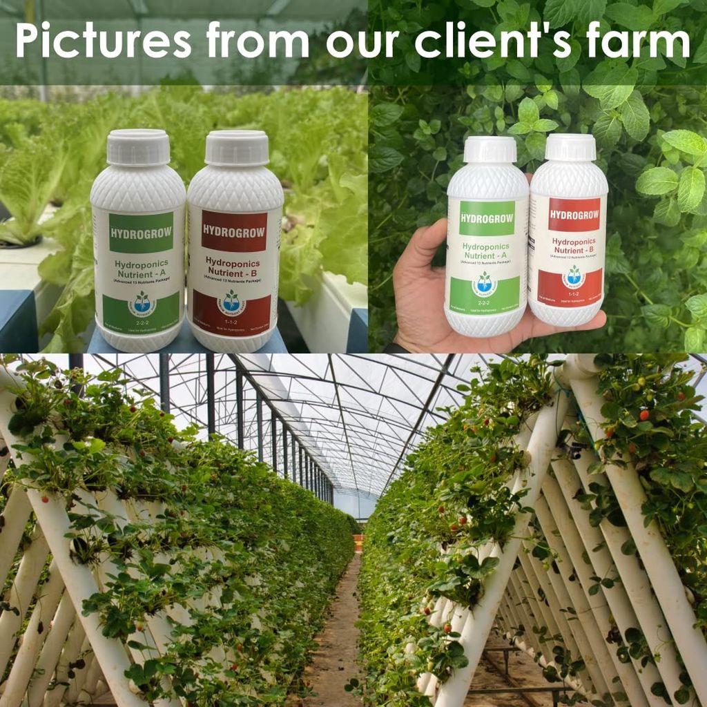 Garden Genie Hydroponic Nutrient A&B Liquid - 500 Ml | Npk, Macro & Micro Nutrients For Plants | Balanced Plant Nutrition, Ideal for Vertical Farming | 50 Liter Nutrient Solution, Liquid