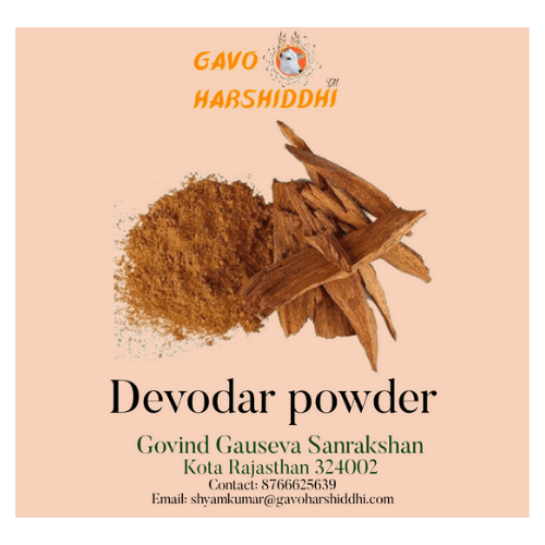 GAVO HARSHIDDHI DEVDAR CEDRUS WOOD POWDER-1 PACK OF 400 GRAM