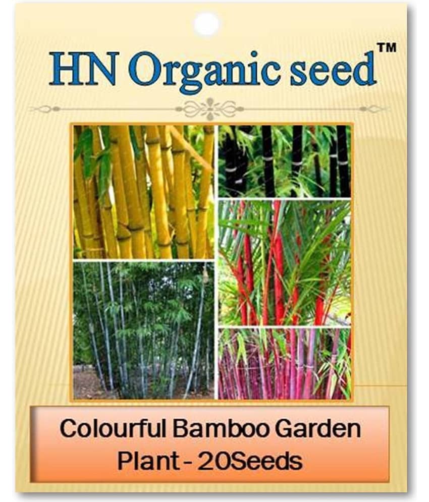 homeagro - Plant Seeds ( 20 )