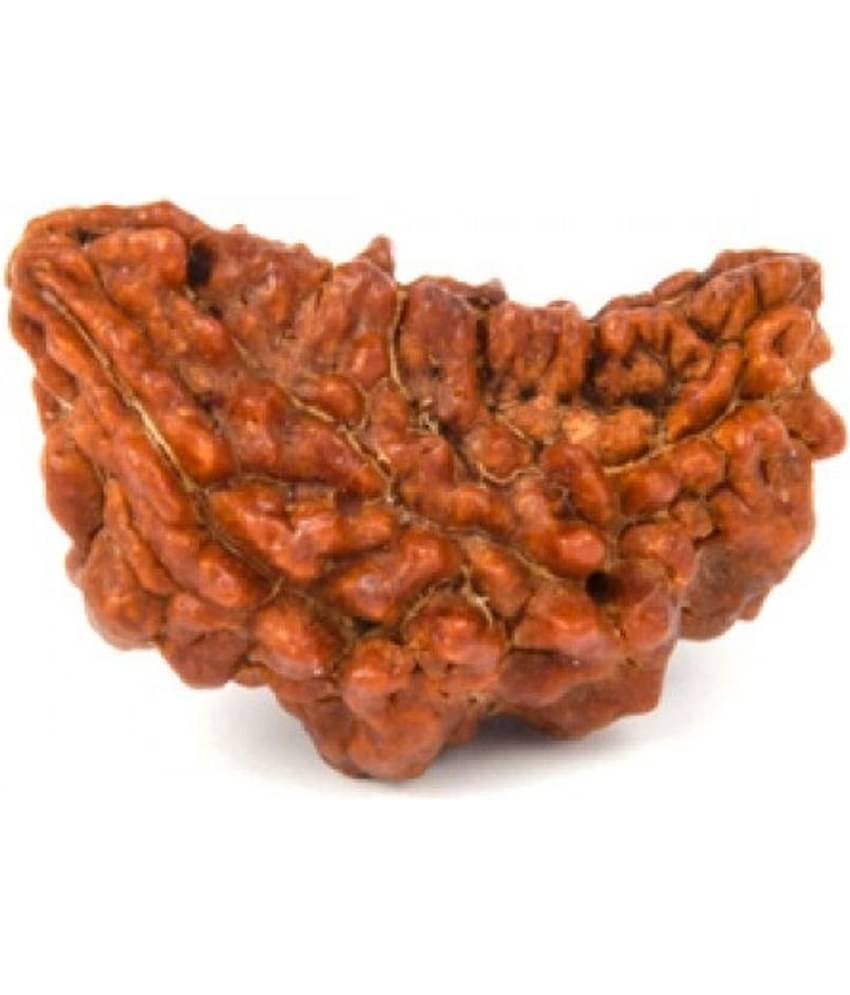 Rudraksha 1 Mukhi Rudraksha