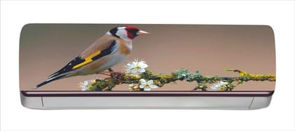 DreamKraft Decorative 3D Bird Sitting on Tree Branch AC Sticker (Multicolor PVC Vinyl, 30cm X 91cm)