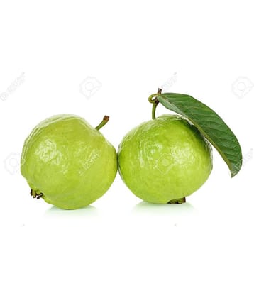 GREEN INDIA GUAVA FREES HYBRID 100% ORIGINAL SEEDS